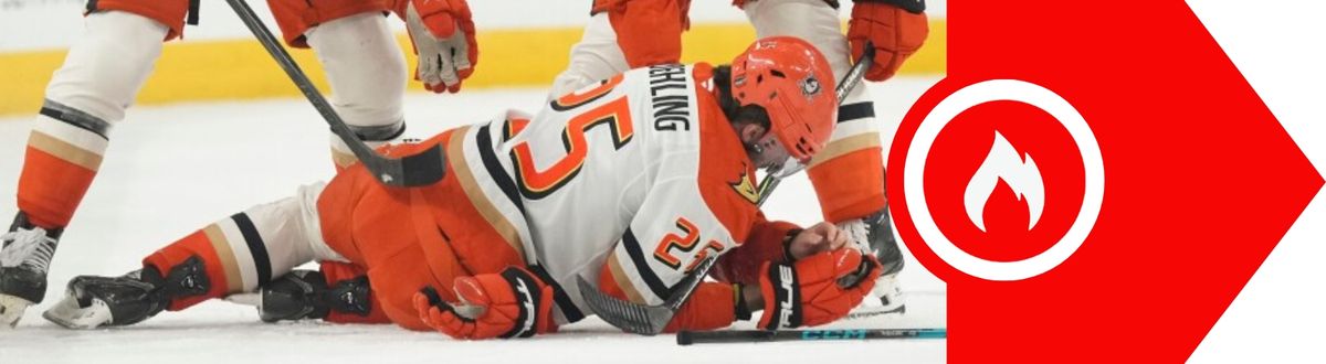 McNabb suspended for Poehling hit taken in Rochester, N.Y. (Hot Button)